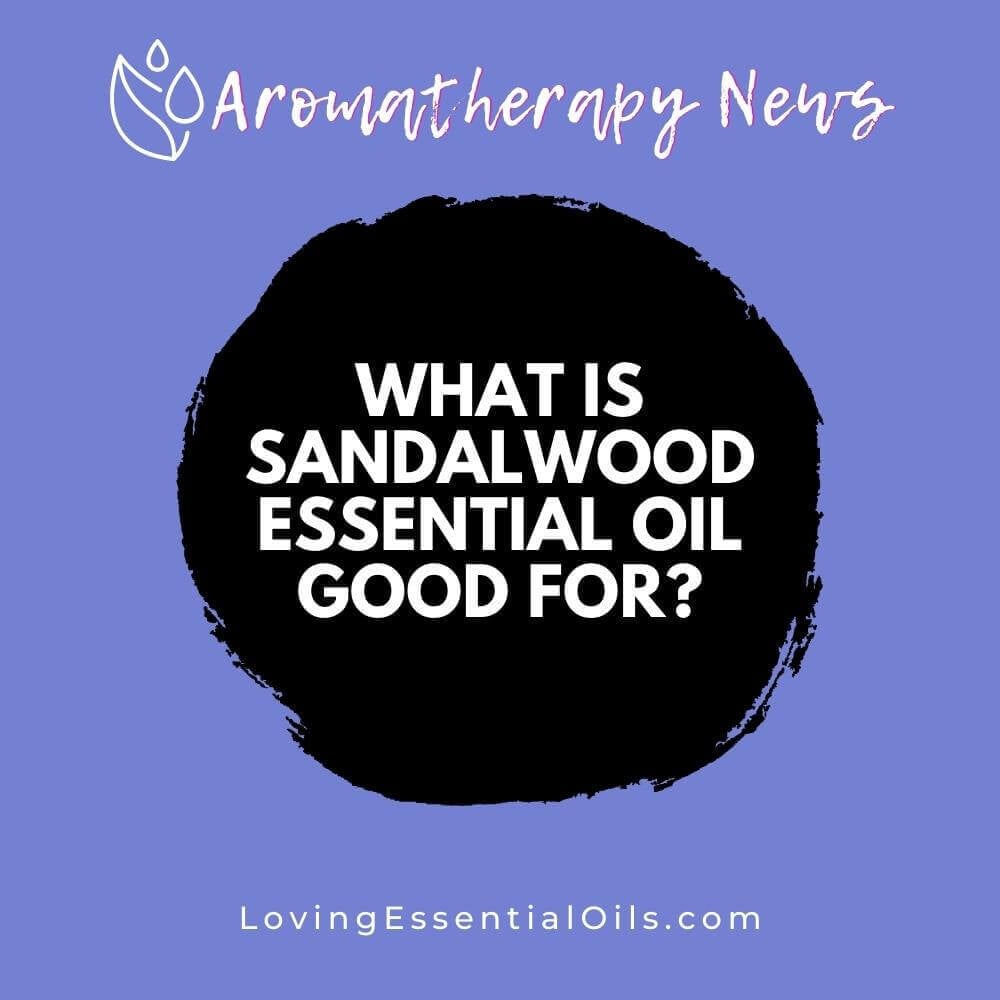 What is Sandalwood Essential Oil Good For? Emotional Benefits