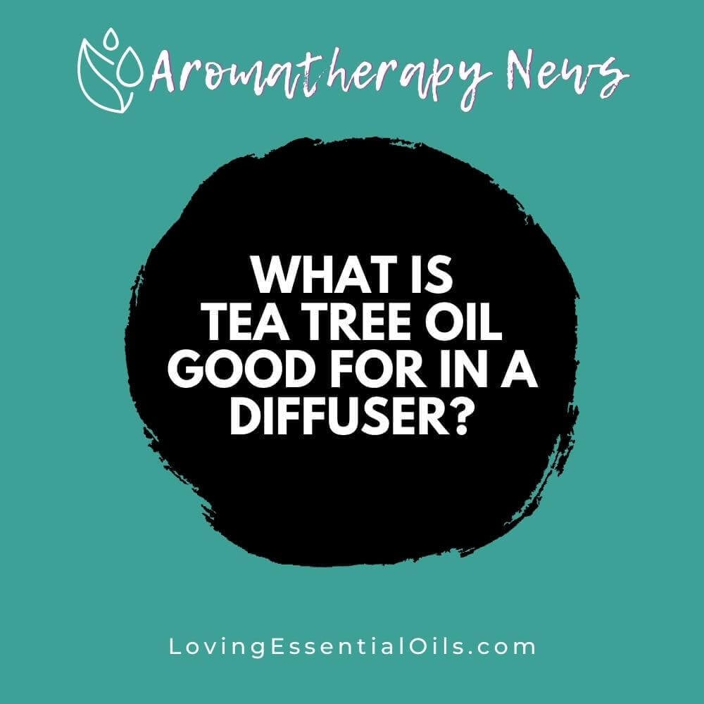 What is Tea Tree Essential Oil Good for in a Diffuser?