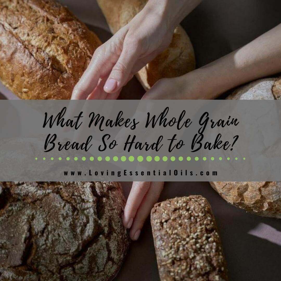 What Makes Whole Grain Bread So Hard to Bake?