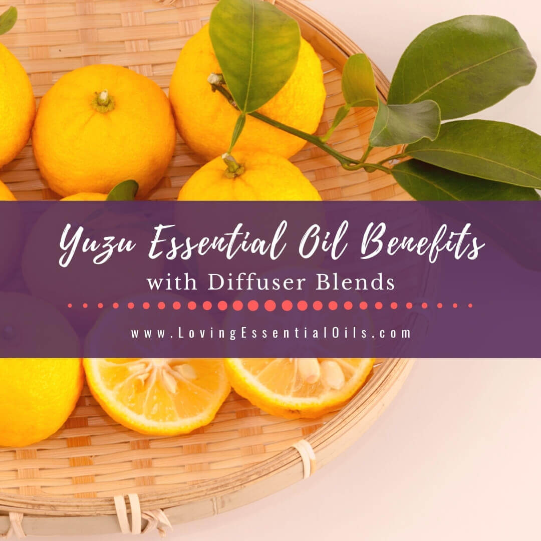 Yuzu Essential Oil Benefits and Diffuser Blend Recipes