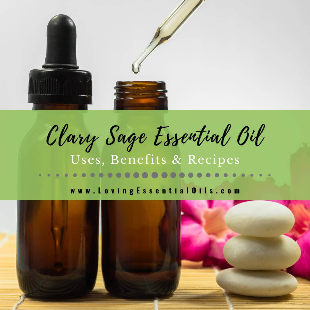 Clary Sage Essential Oil Recipes, Uses and Benefits