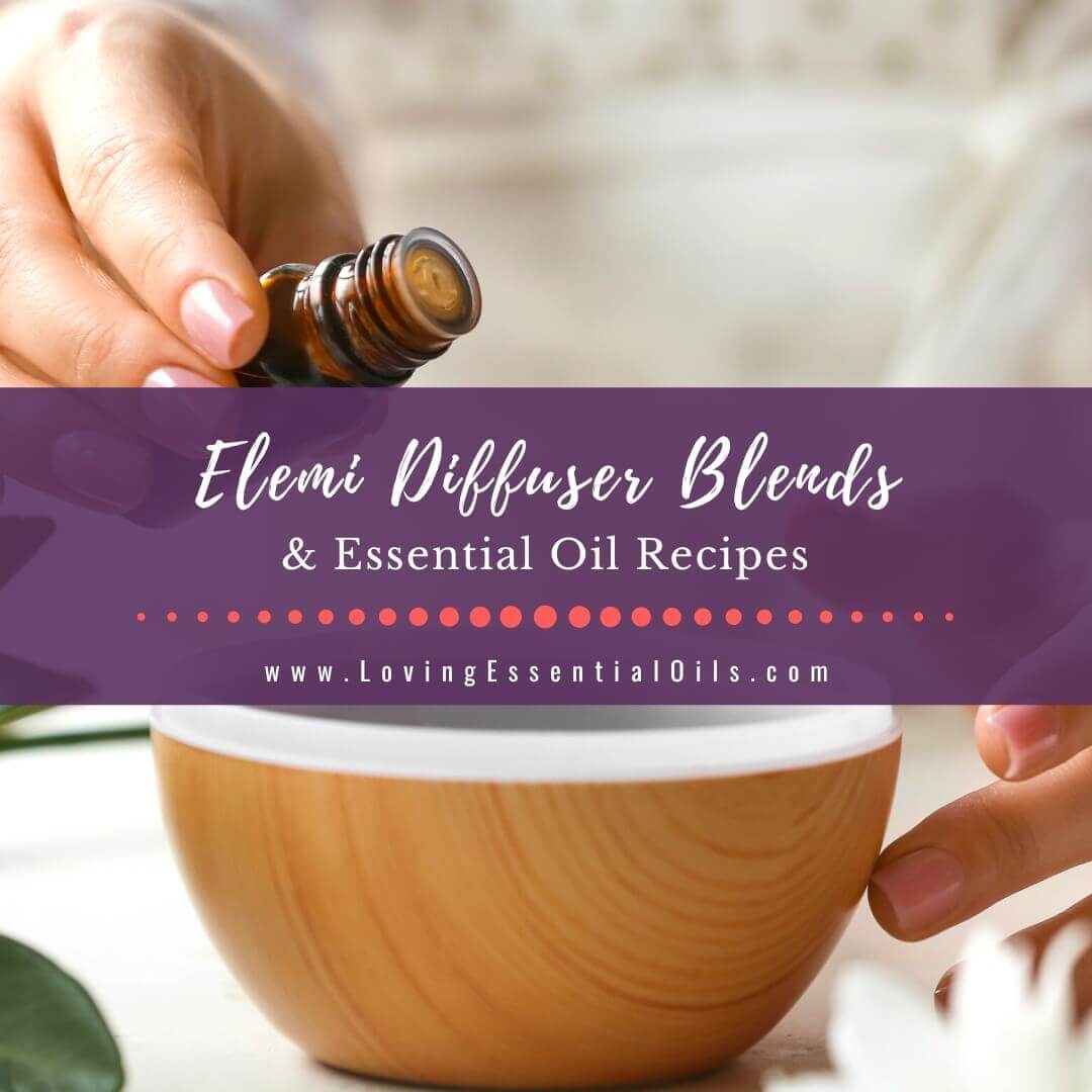 Elemi Diffuser Blends and Essential Oil Recipes