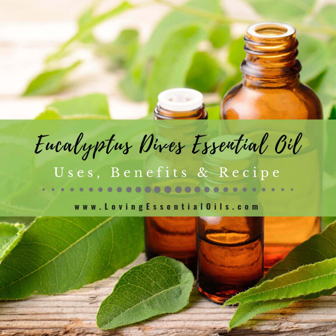 Eucalyptus Dives Essential Oil Uses and Recipes Peppermint Eucalyptus