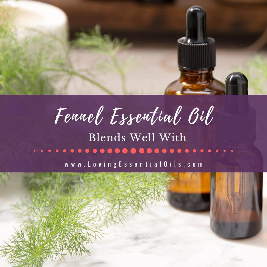 Fennel Essential Oil Blends Well With - Diffuser Benefits