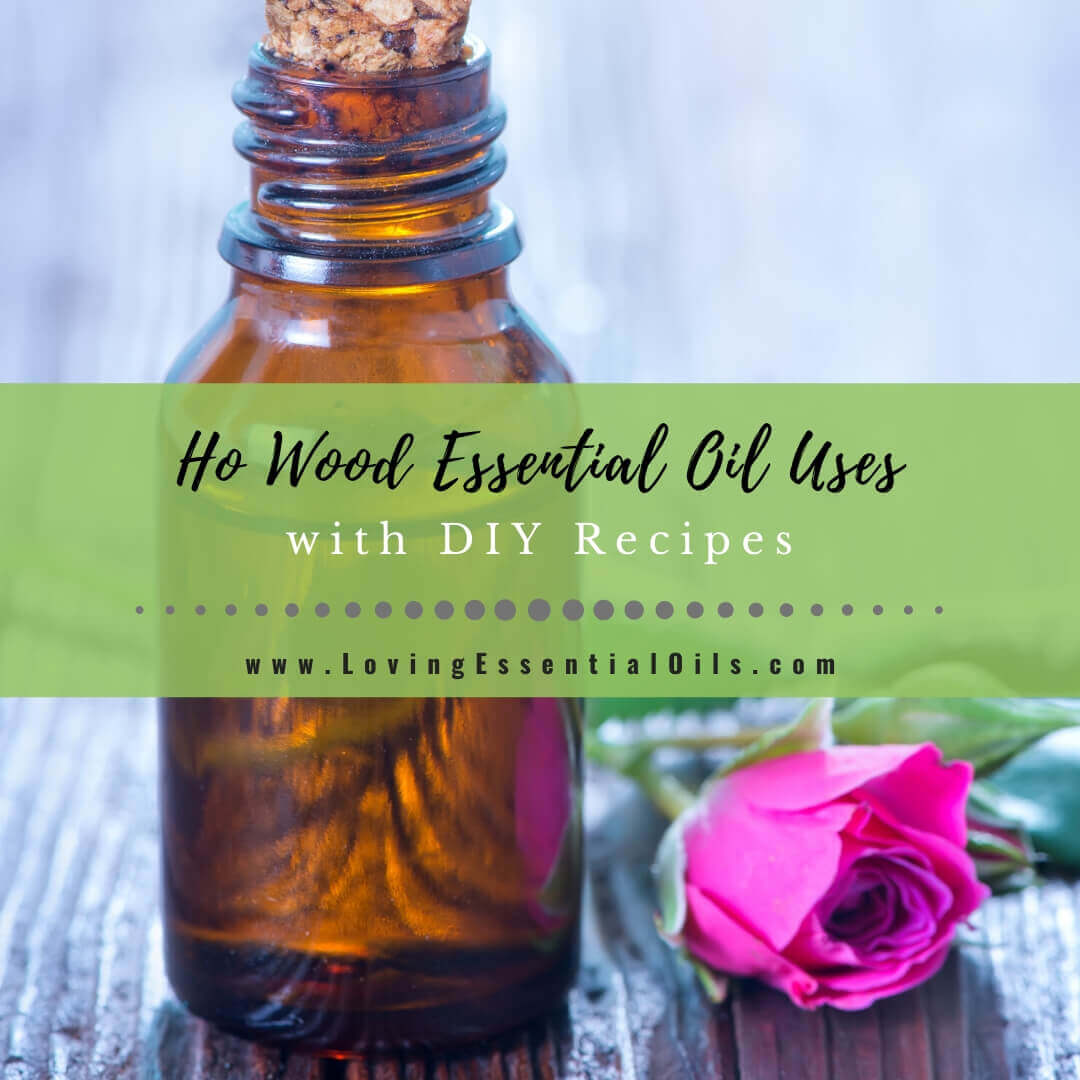 Ho Wood Essential Oil Recipes, Uses and Benefits Spotlight