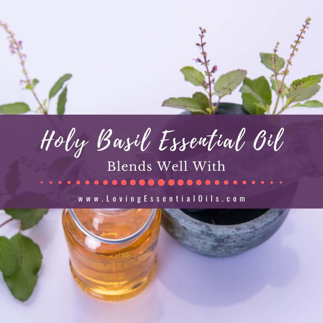 Holy Basil Essential Oil Blends Well With - Tulsi Diffuser Blends