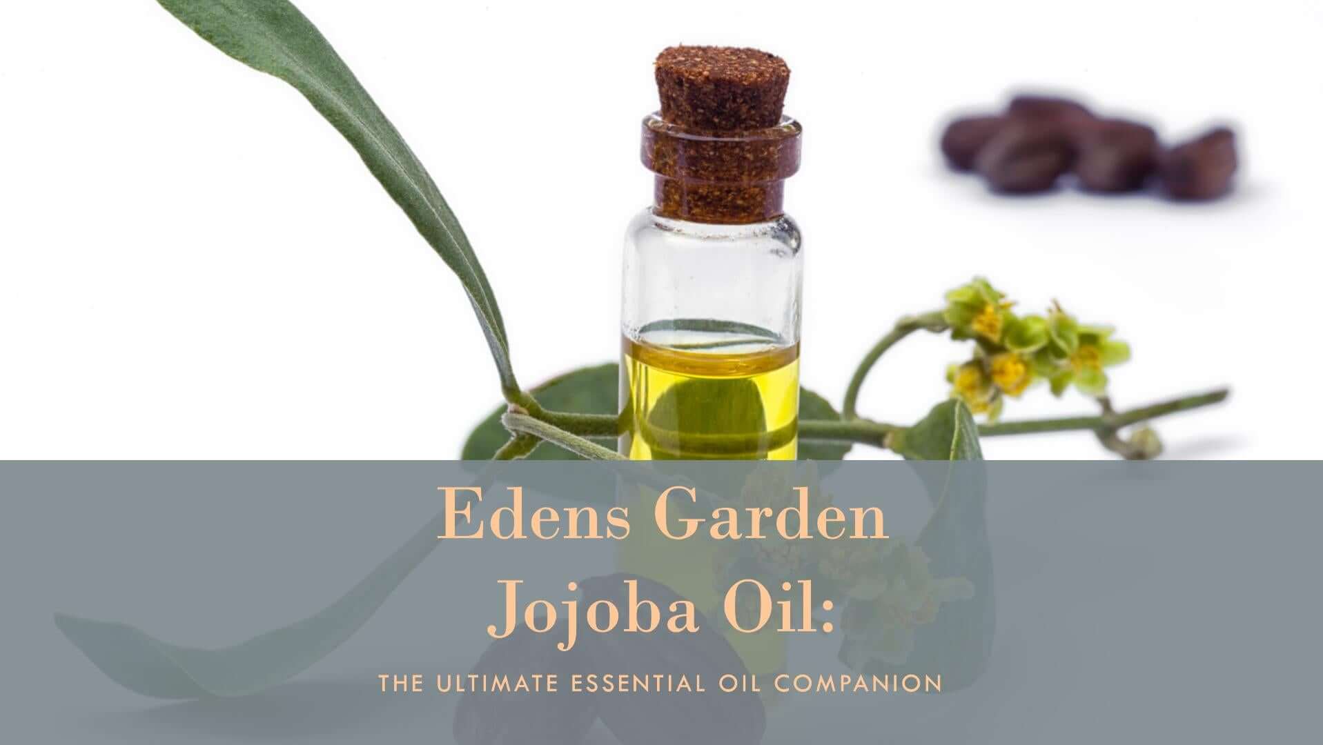 Edens Garden Jojoba Oil: The Ultimate Essential Oil Companion