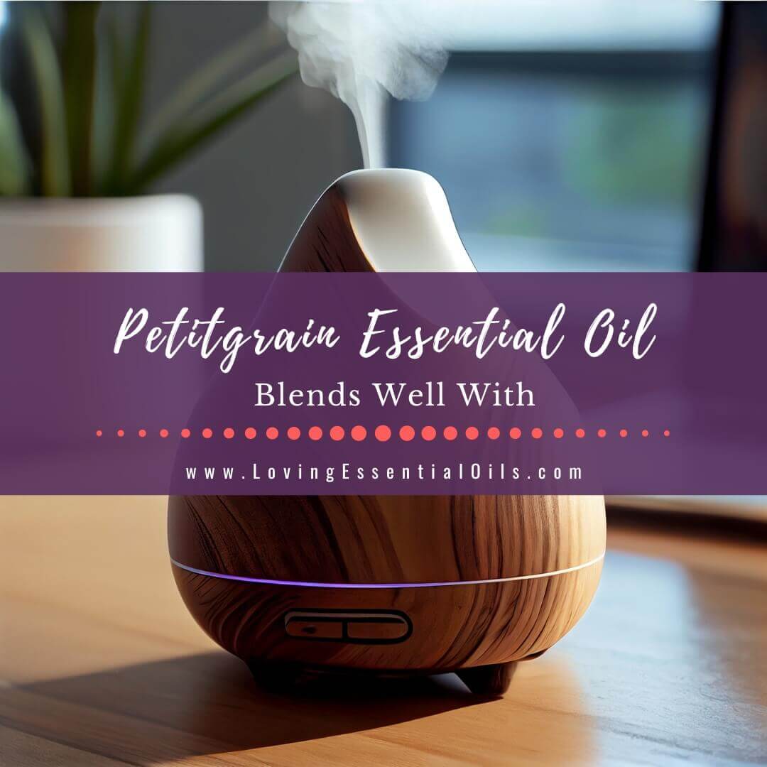 Petitgrain Essential Oil Blends Well With Plus Diffuser Blends