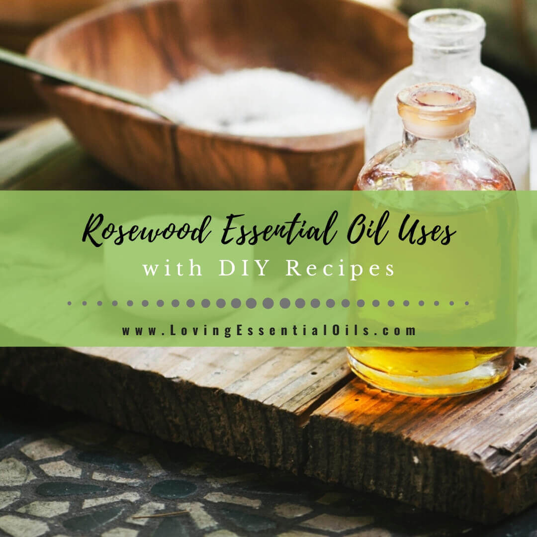 Rosewood Essential Oil Recipes, Uses and Benefits Spotlight