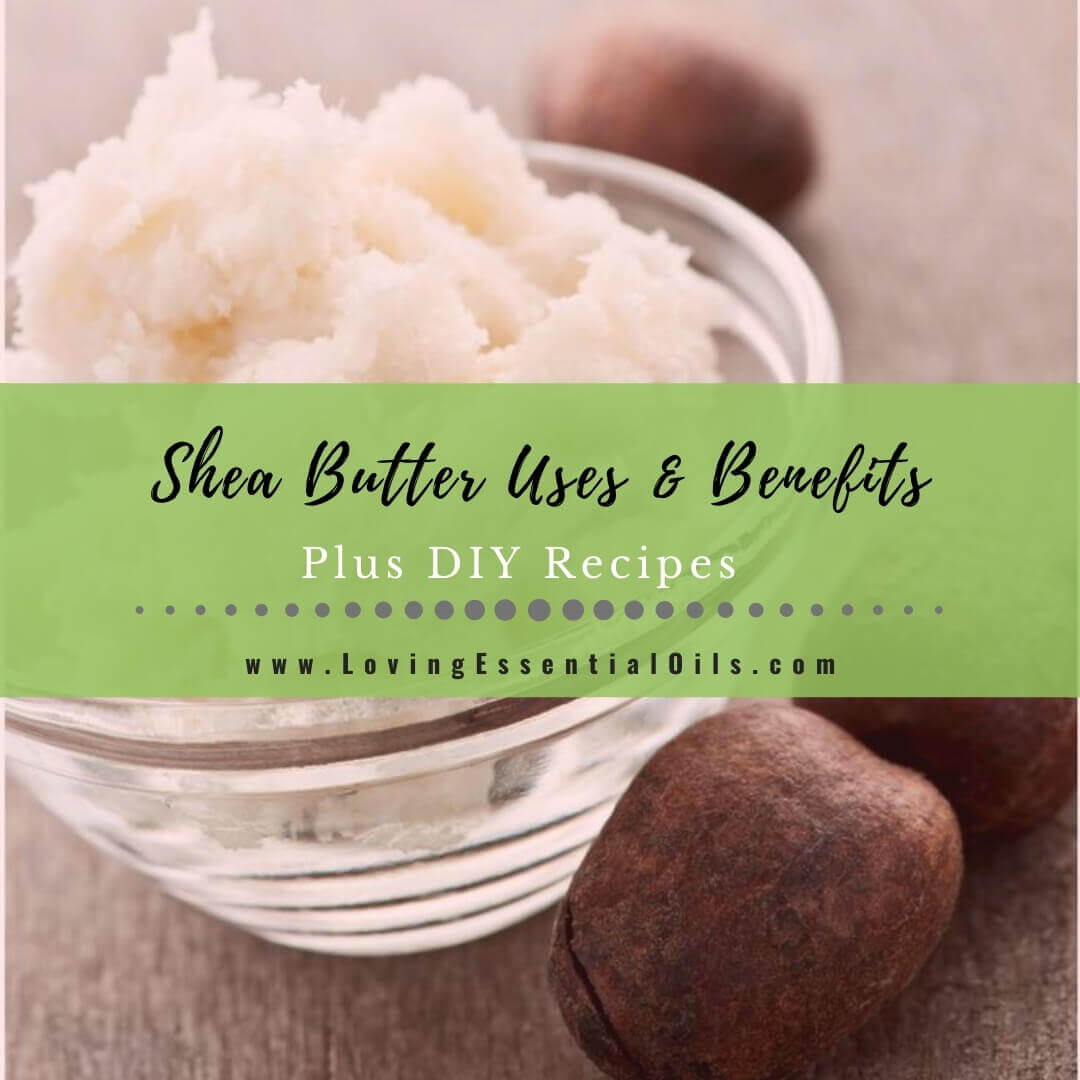 10 Shea Butter Uses with DIY Essential Oil Recipes For Beauty