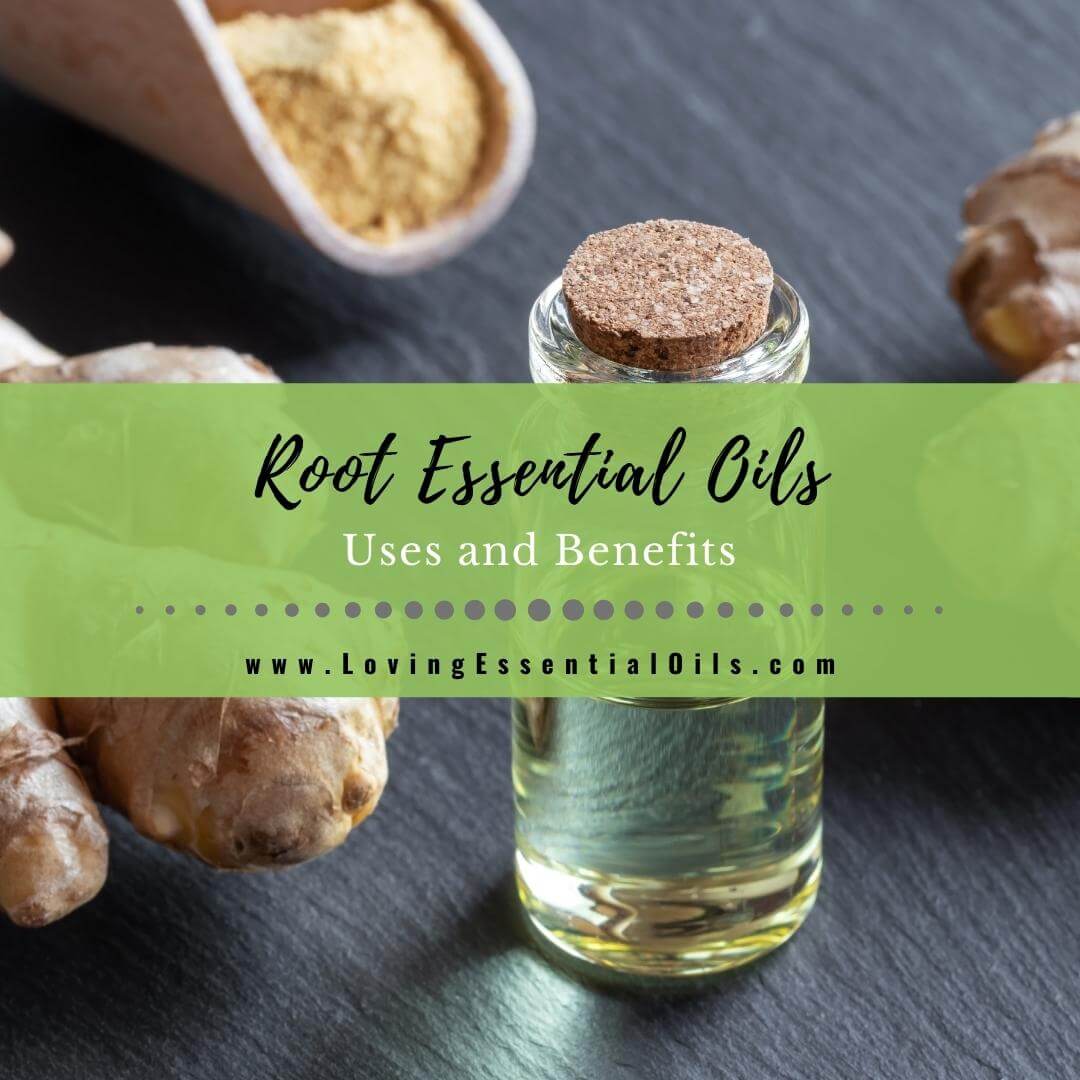 What are Root Essential Oils? Uses and Benefits with DIY Recipes