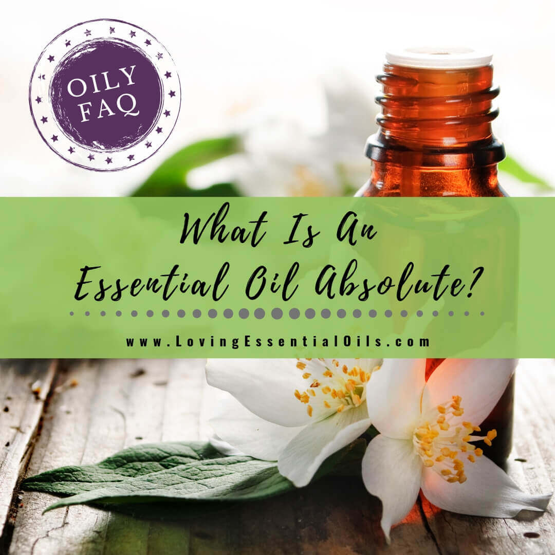 What Is An Essential Oil Absolute? Essential Oils vs Absolutes