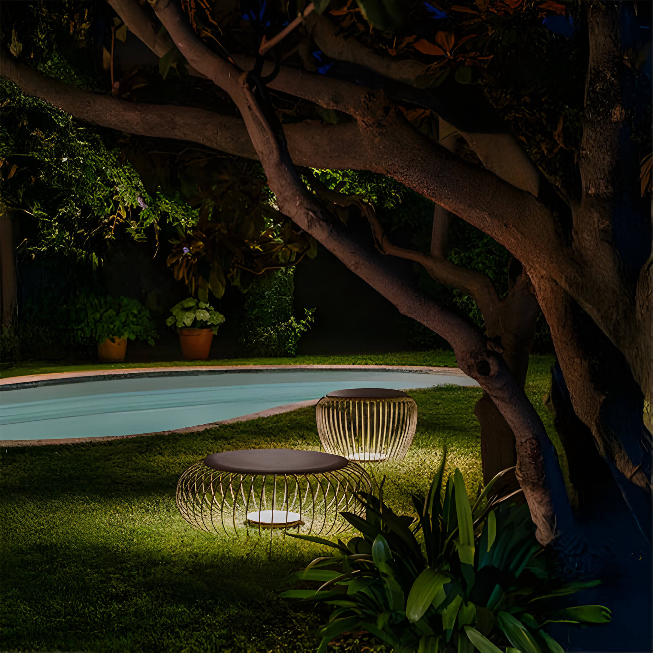 Two low, circular wire-frame outdoor lights with flat tops glowing near a pool and under a large tree.