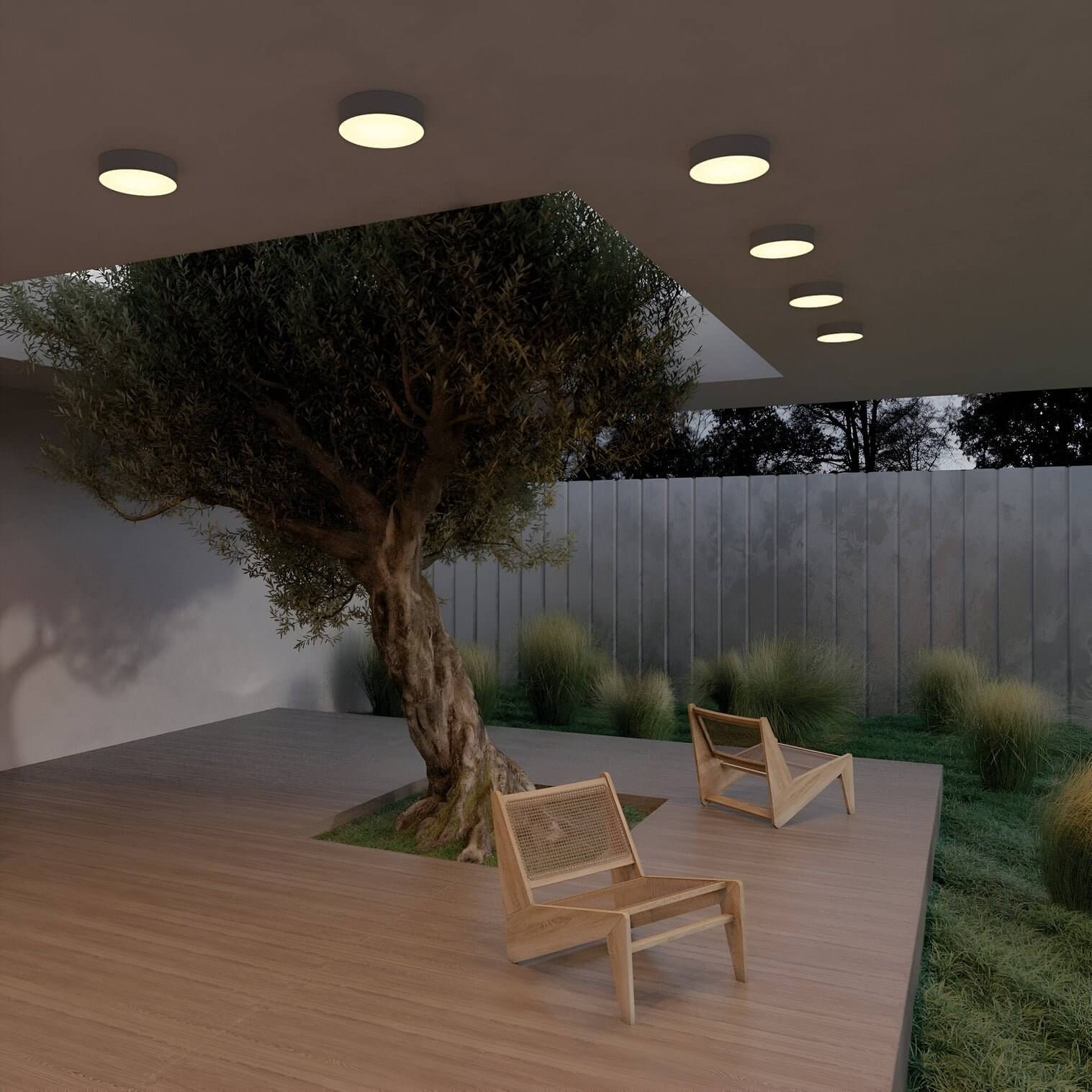 Minimalist patio with large tree, wooden chairs, and circular flush-mount ceiling lights illuminating the wooden deck.