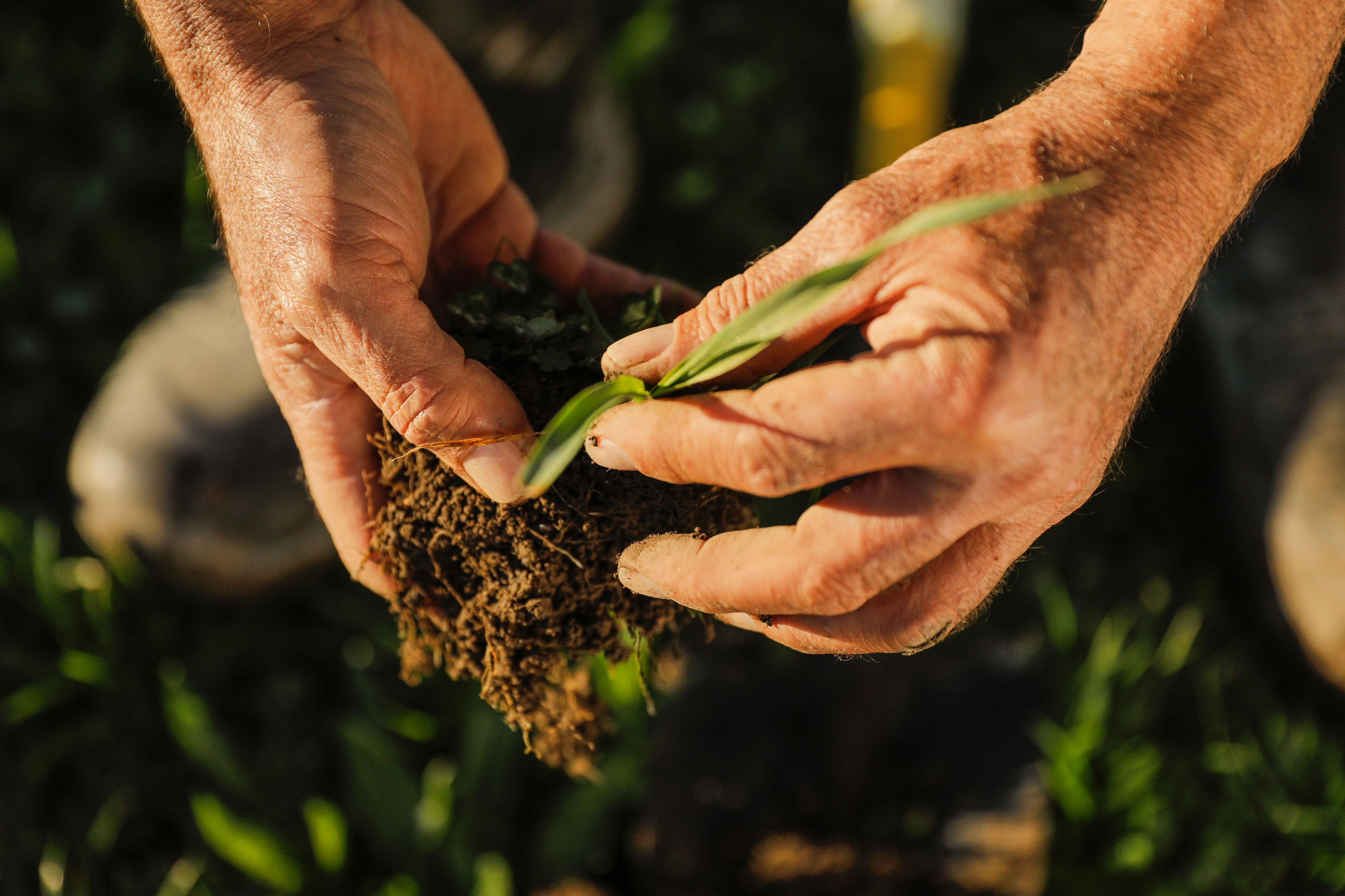 Regenerative farming