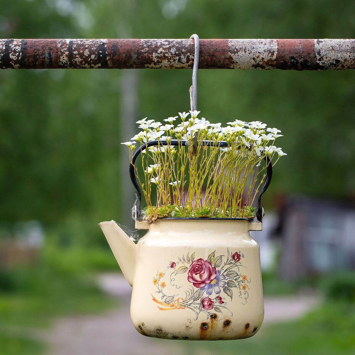 Repurposed teapot planter blooming with flowers, symbolizing a healthier, regenerative home