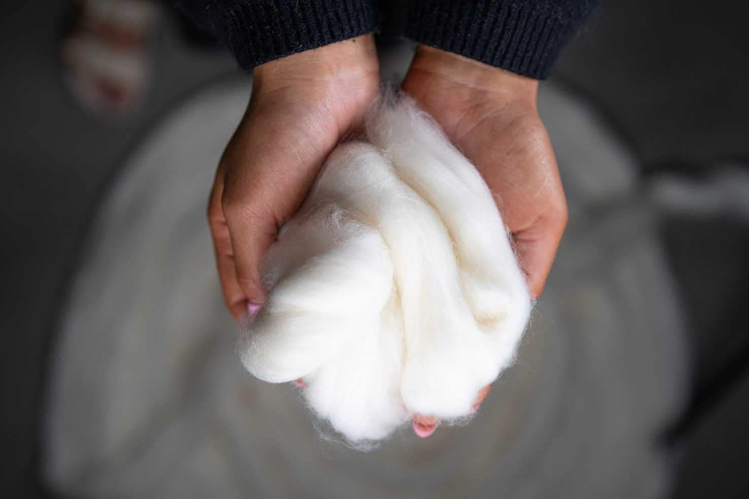 Spun regenerative wool
