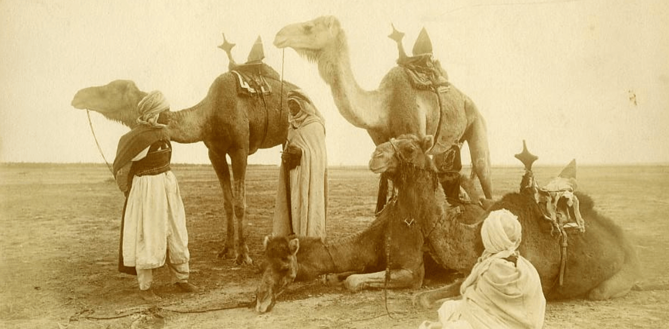 Bedouin with camels
