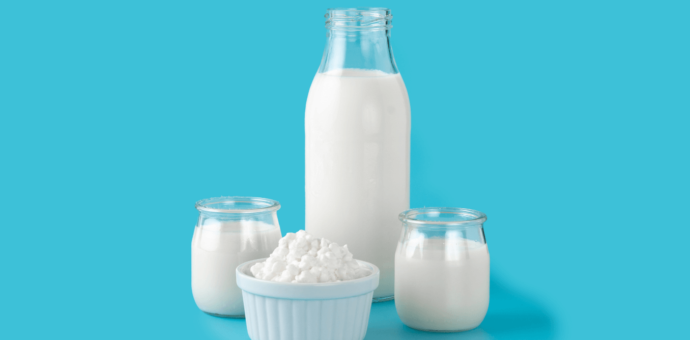 Camel milk facts