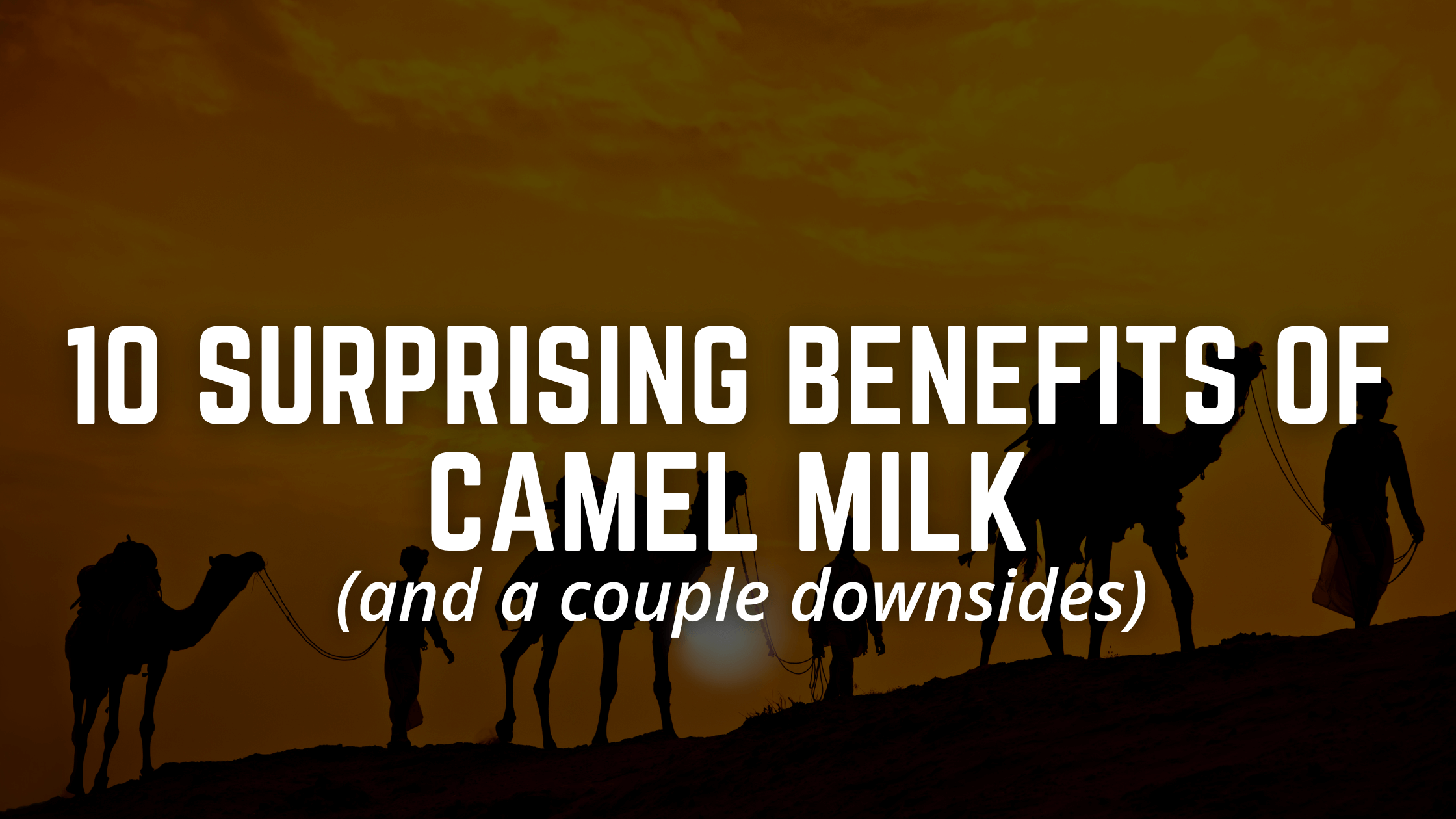 10 Suprising Benefits of Camel Milk