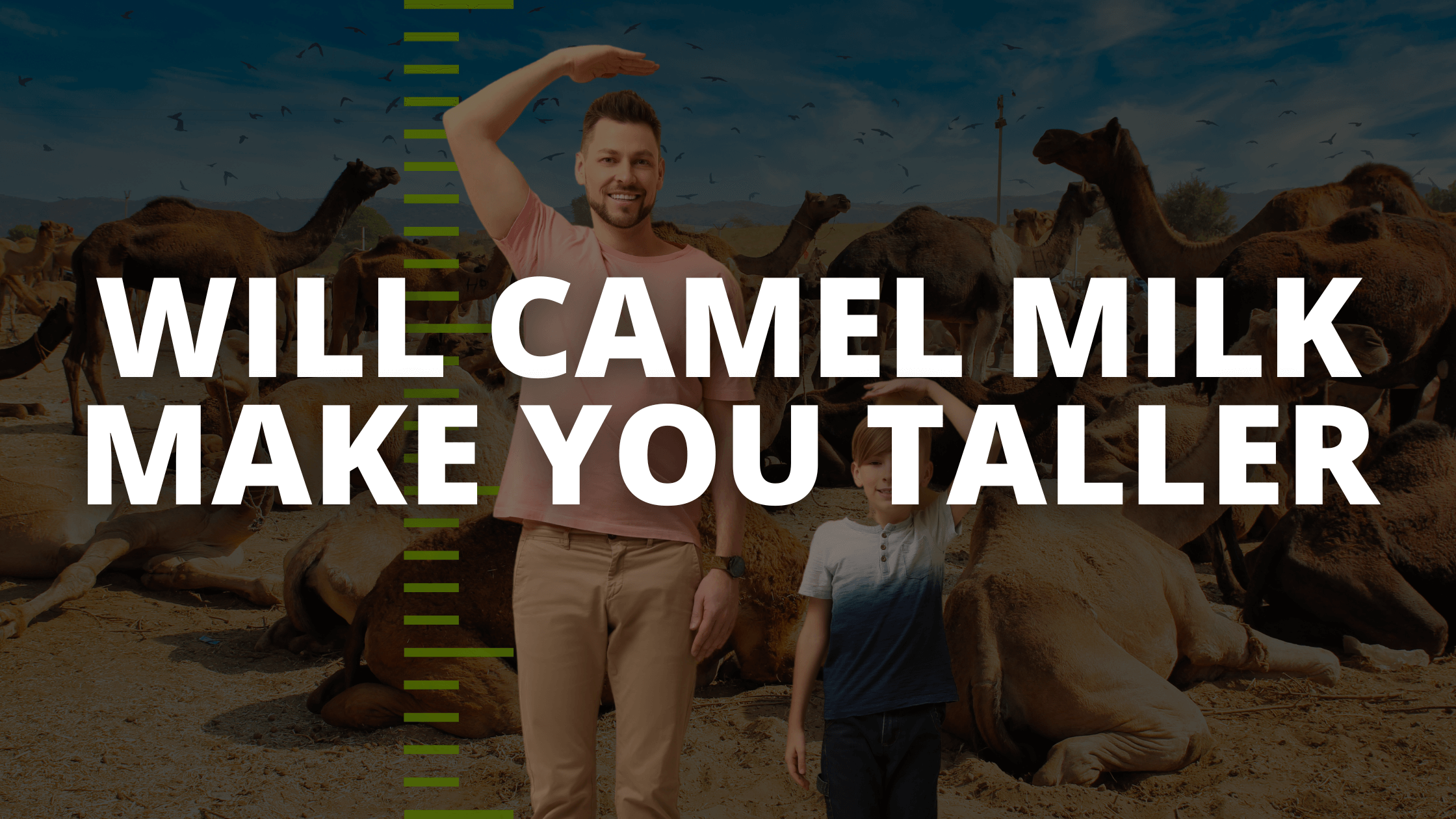 Can Camel Milk Make You Taller? Exploring Facts and Myths