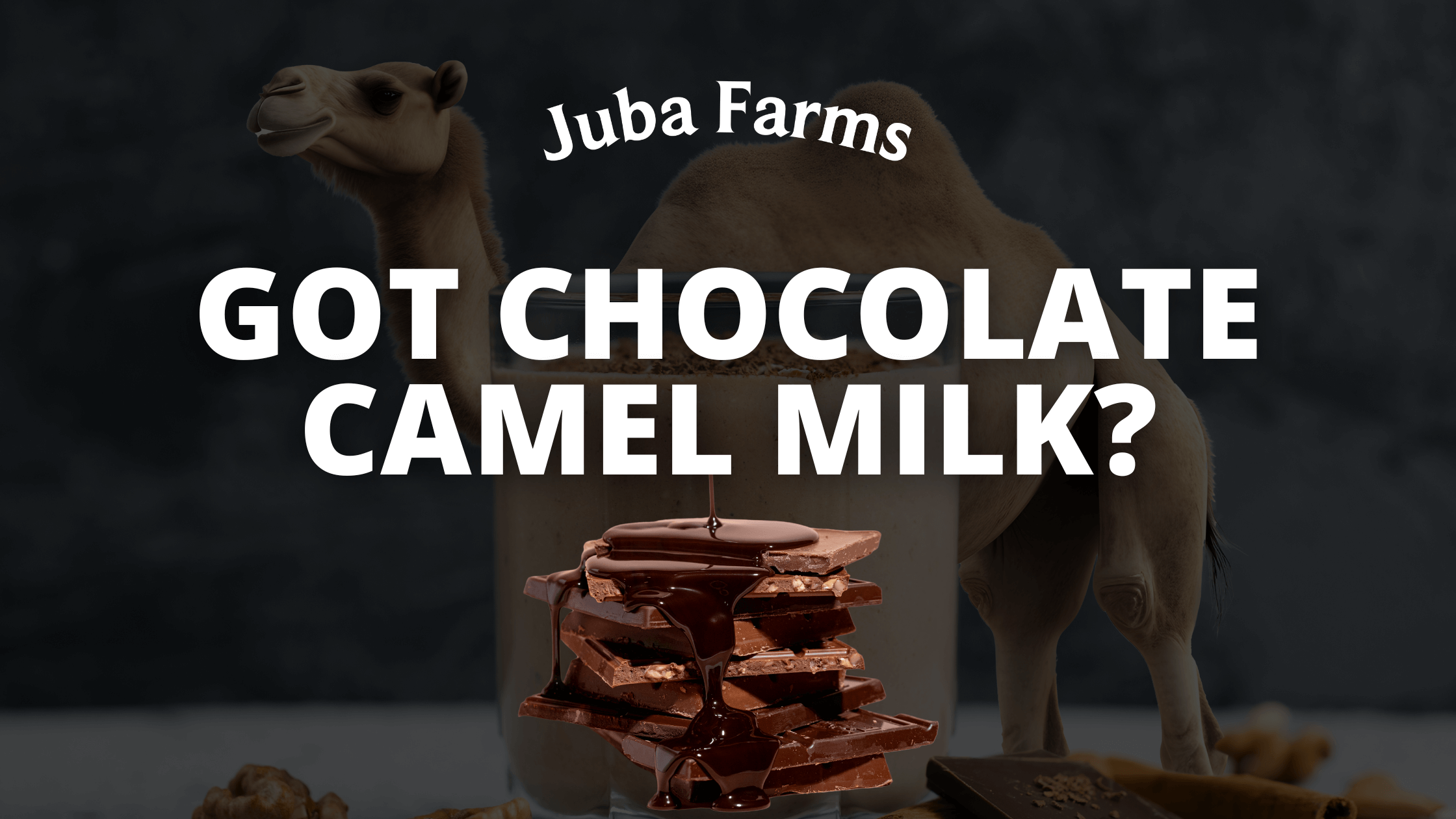 Why Isn’t Chocolate Camel Milk in Our Lineup?