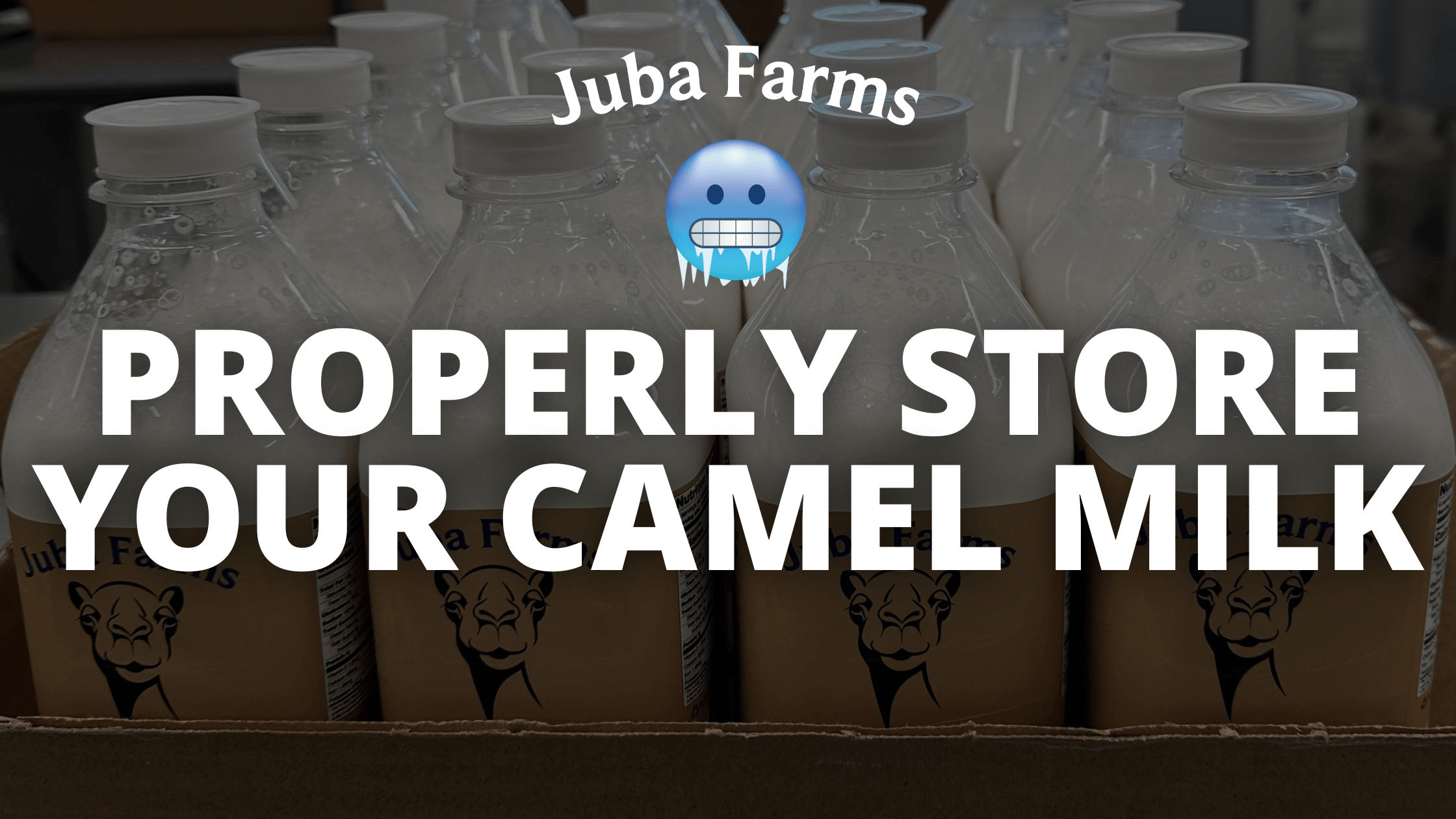 properly store camel milk