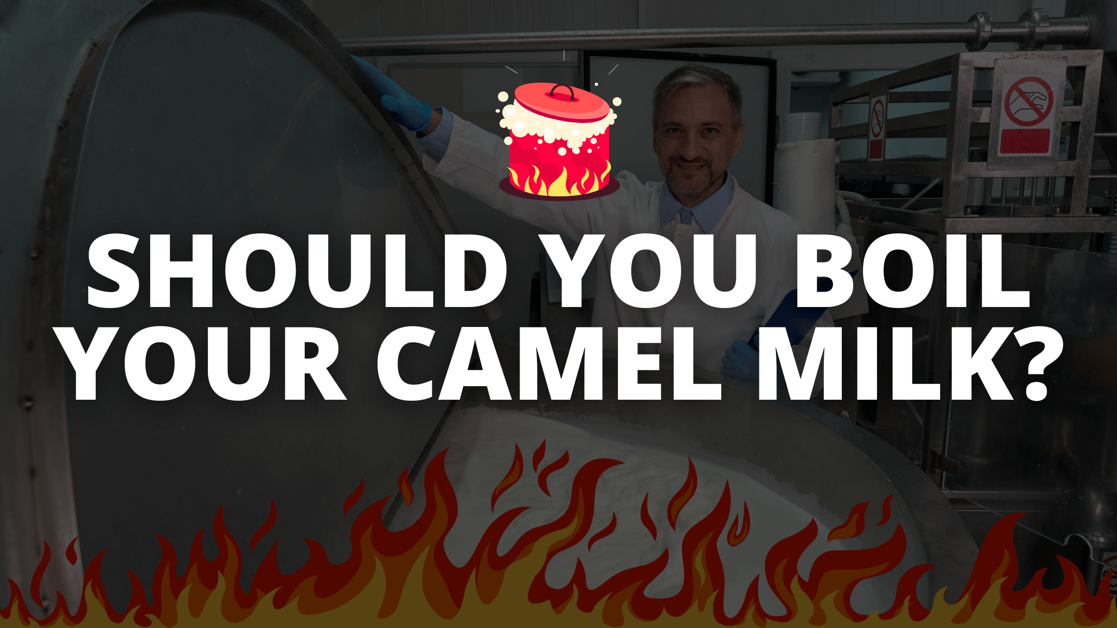 Should You Boil Your Camel Milk? What You Need to Know