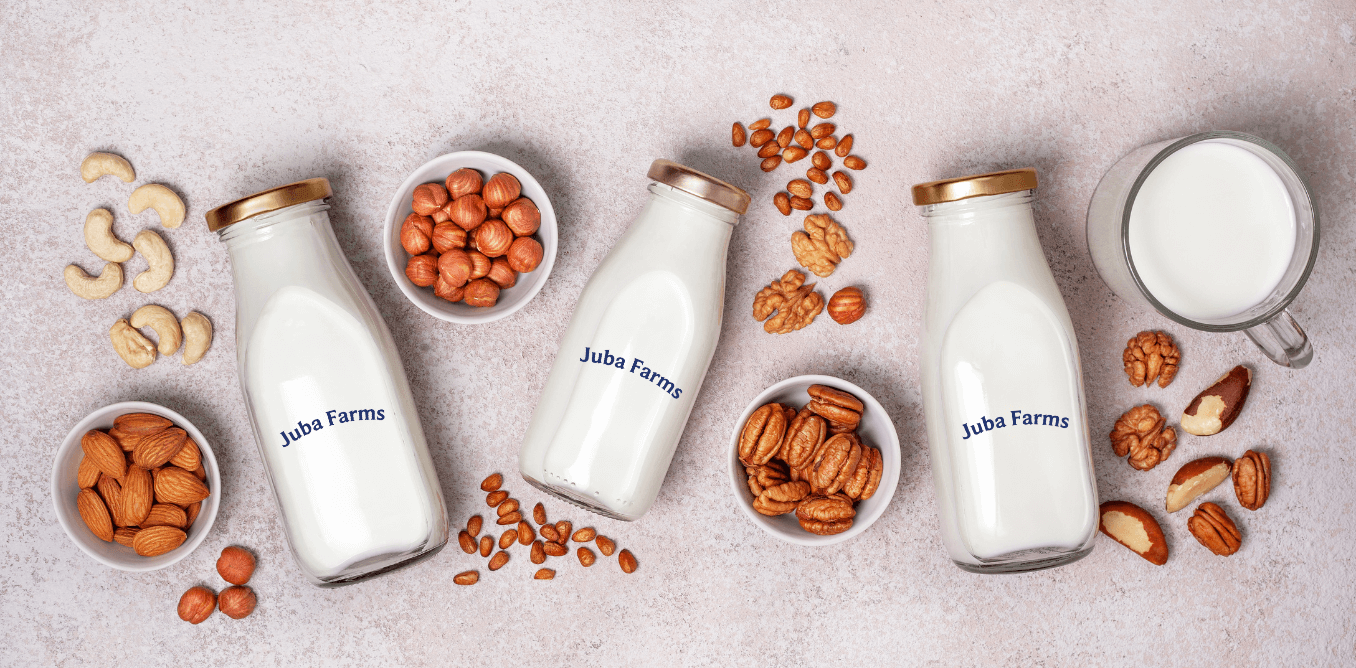 Incorporating camel milk into diet