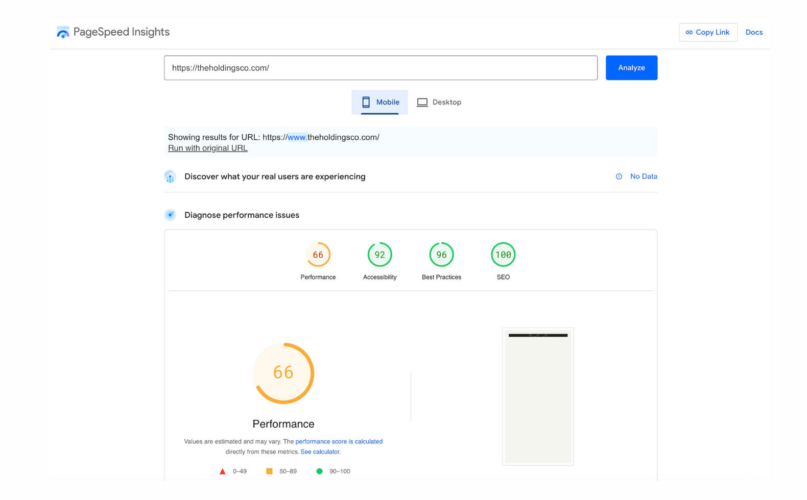 A screenshot of Google PageSpeed Insights results for The Holdings Co.'s website