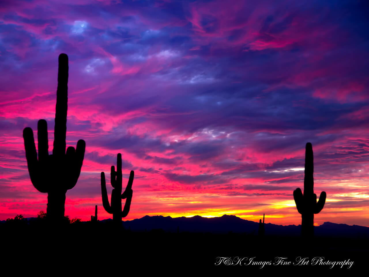 Saguaro Sunset - White Tank Mountains