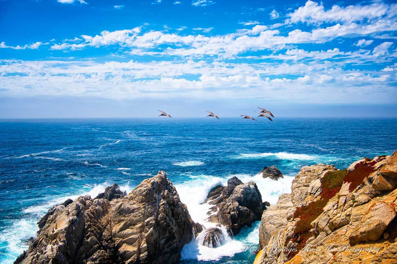 Pinnacle Cove Point Lobos State Natural Reserve