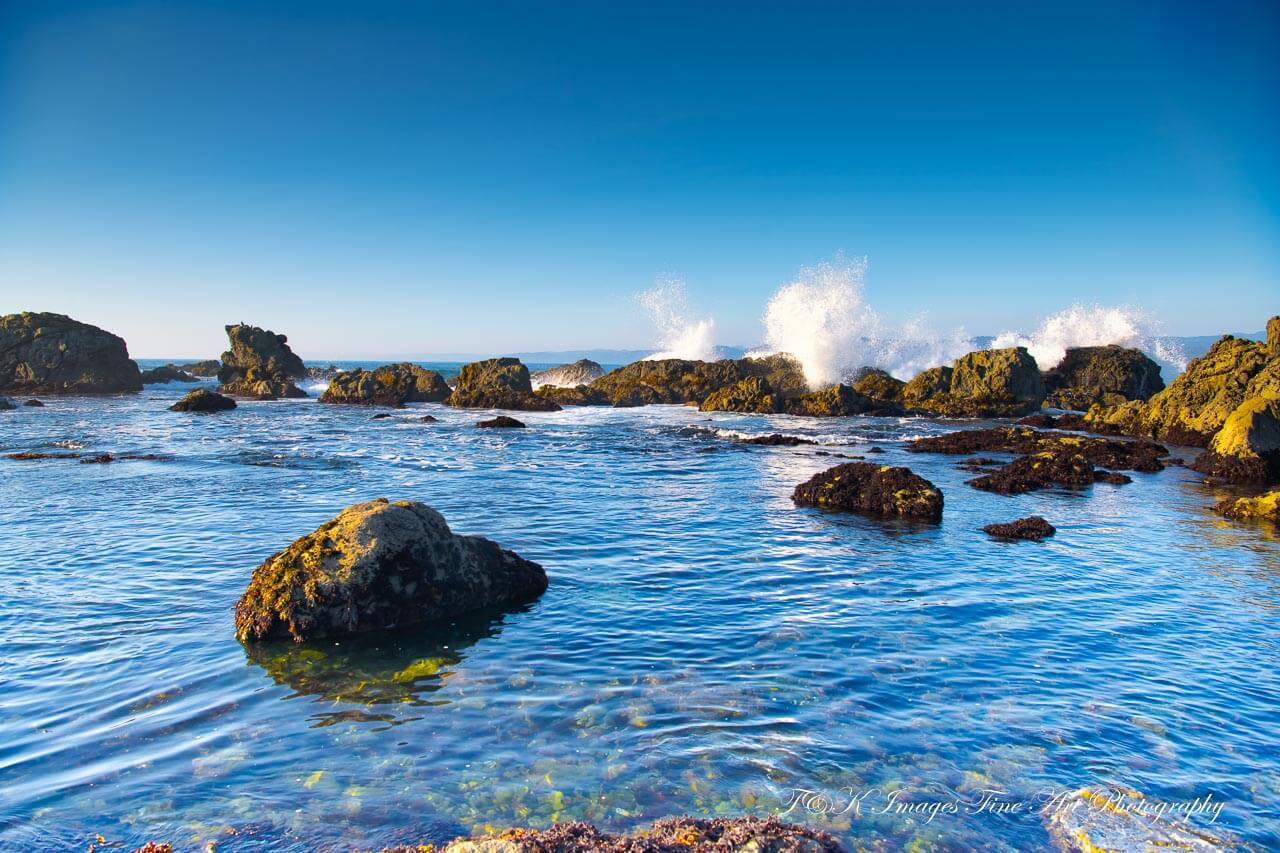 Discover the Untamed Splendor Of Mendocino County Coastline