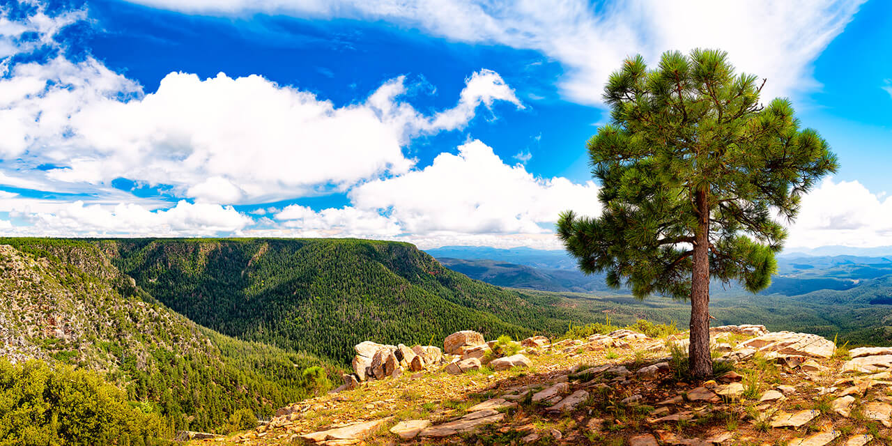 Mogollon Rim - Arizona