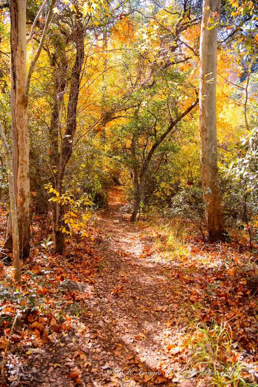 South Fork Trail