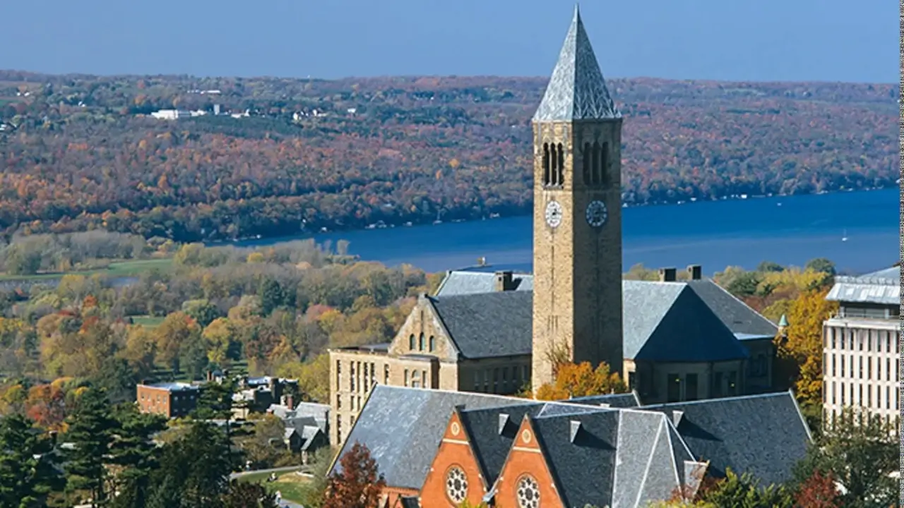 Project Management Certification Cornell