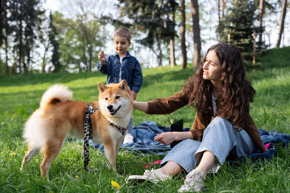 The Hidden Dangers of Dog Parks and How to Avoid Them