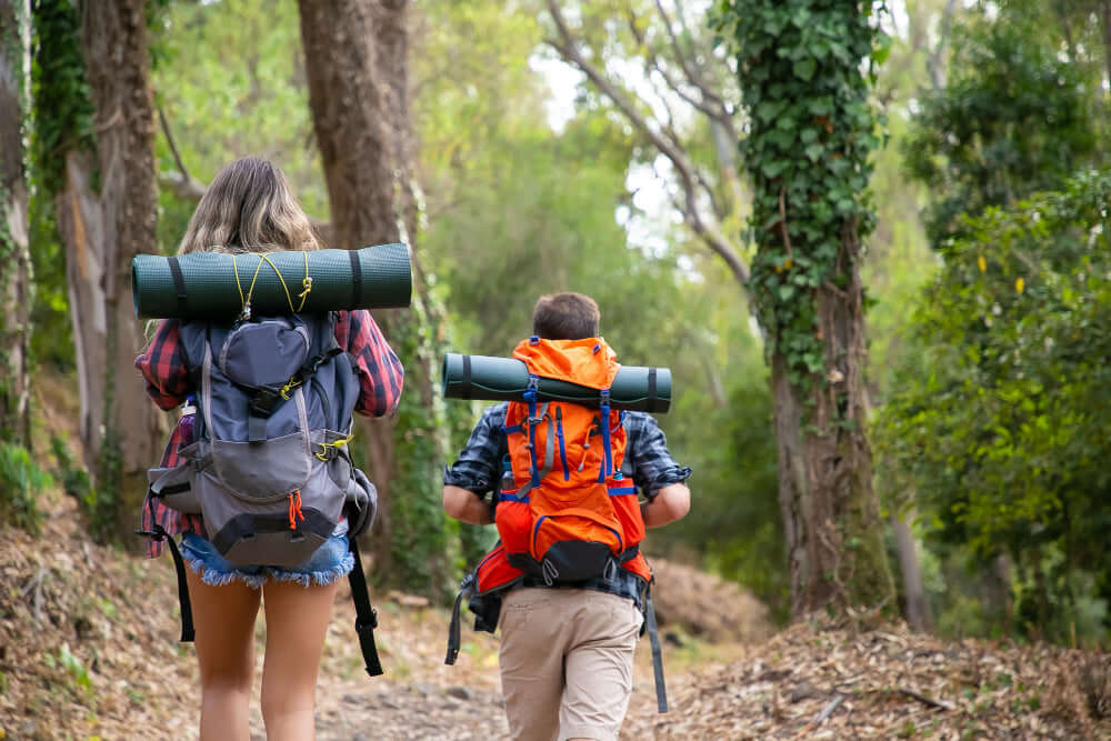 How to Treat Bug Bites, Stings, and Poison Ivy While Camping