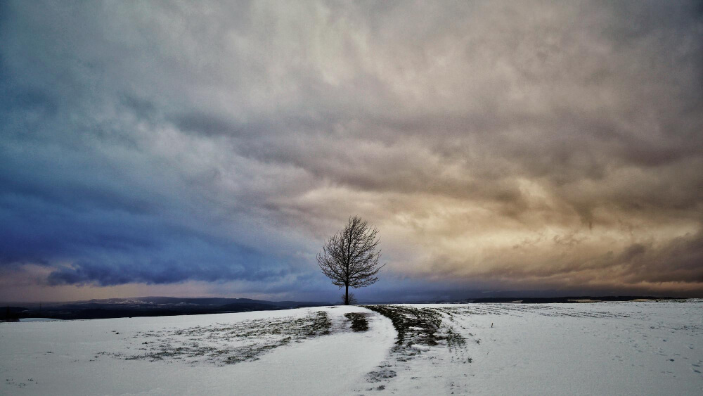 10 Winter Storm Safety Tips Every Homeowner Should Know