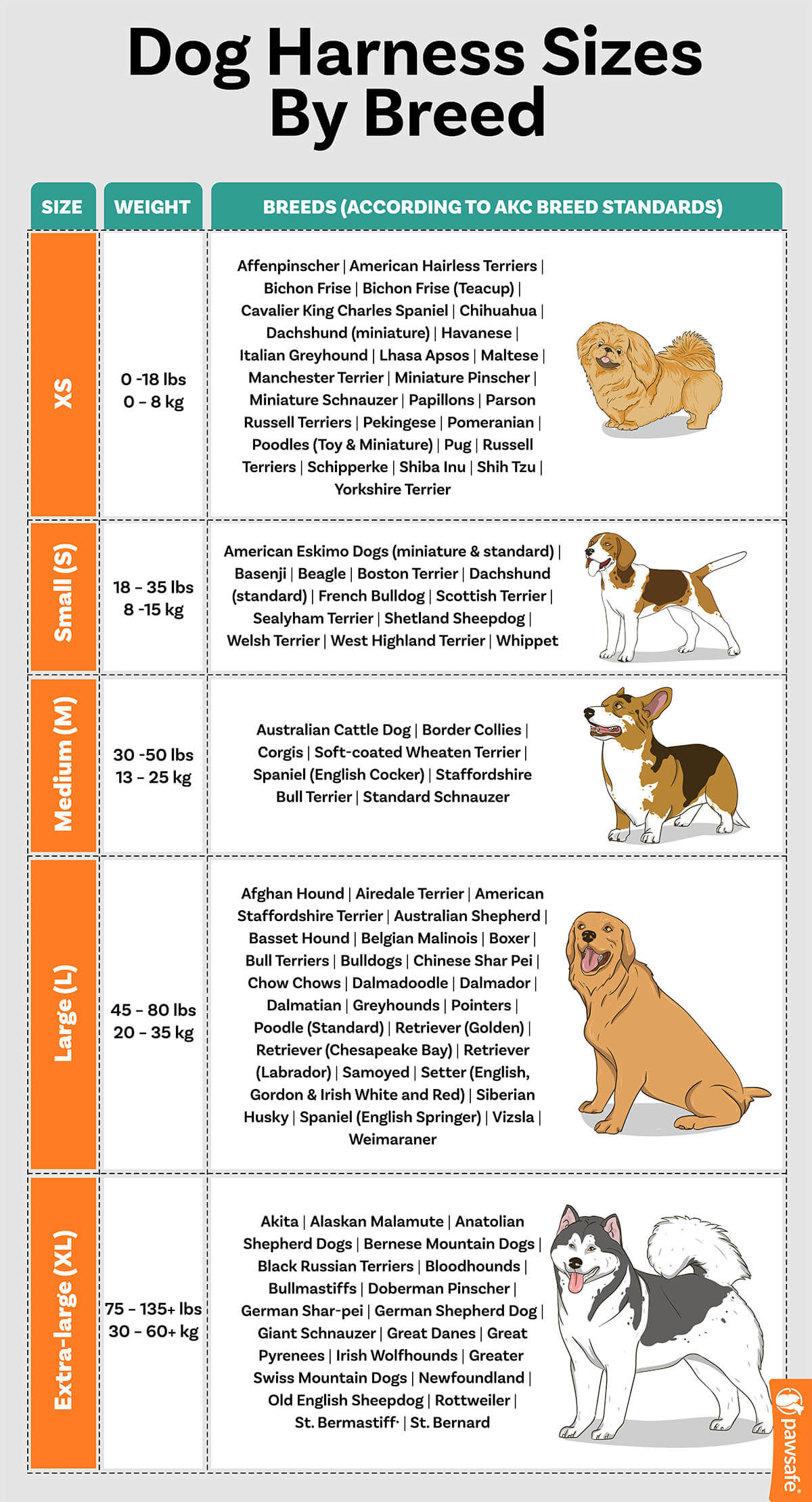 an infographic showing the classification of dog harness sizes by breed