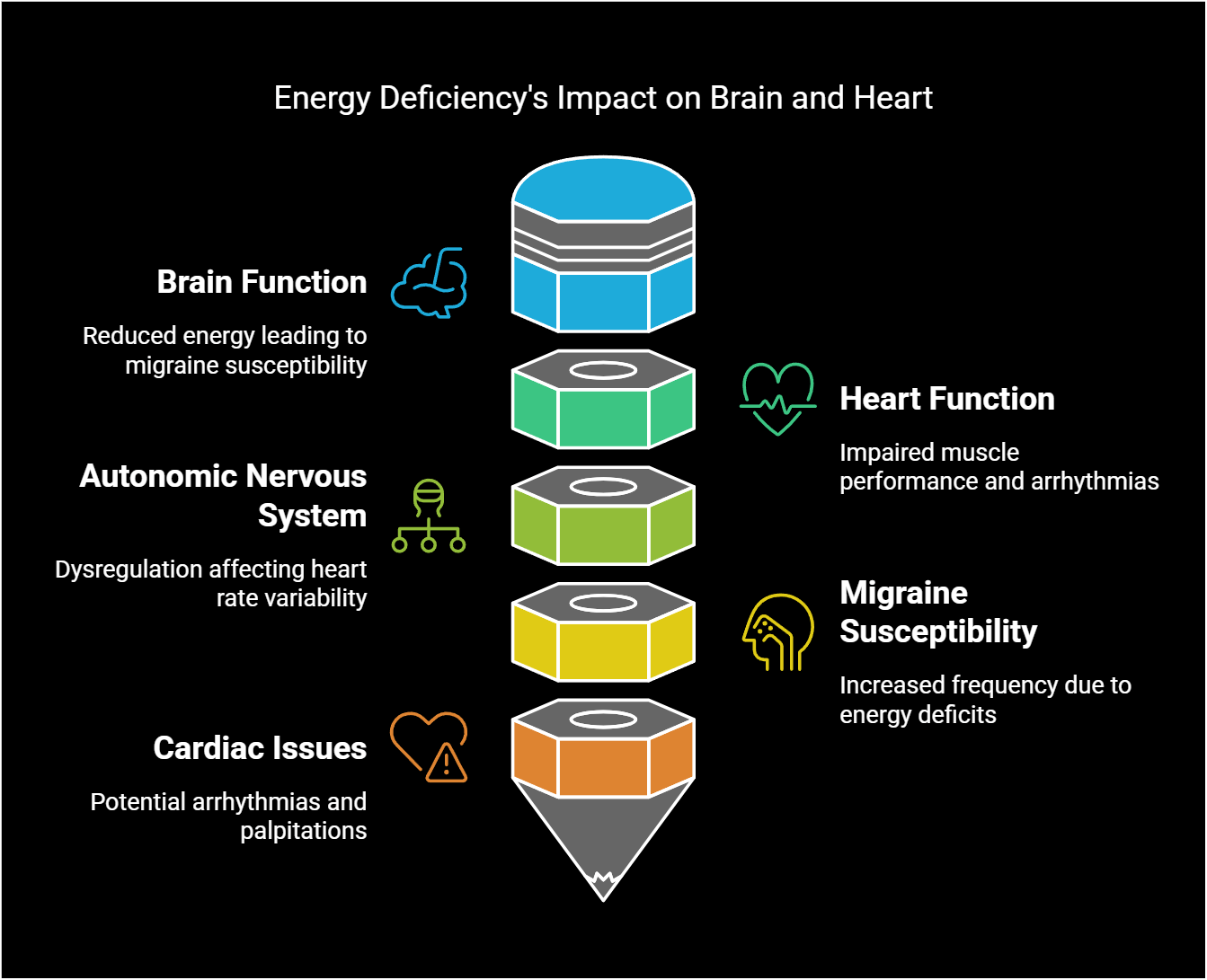 Infographic showing energy deficiency impact on brain and heart