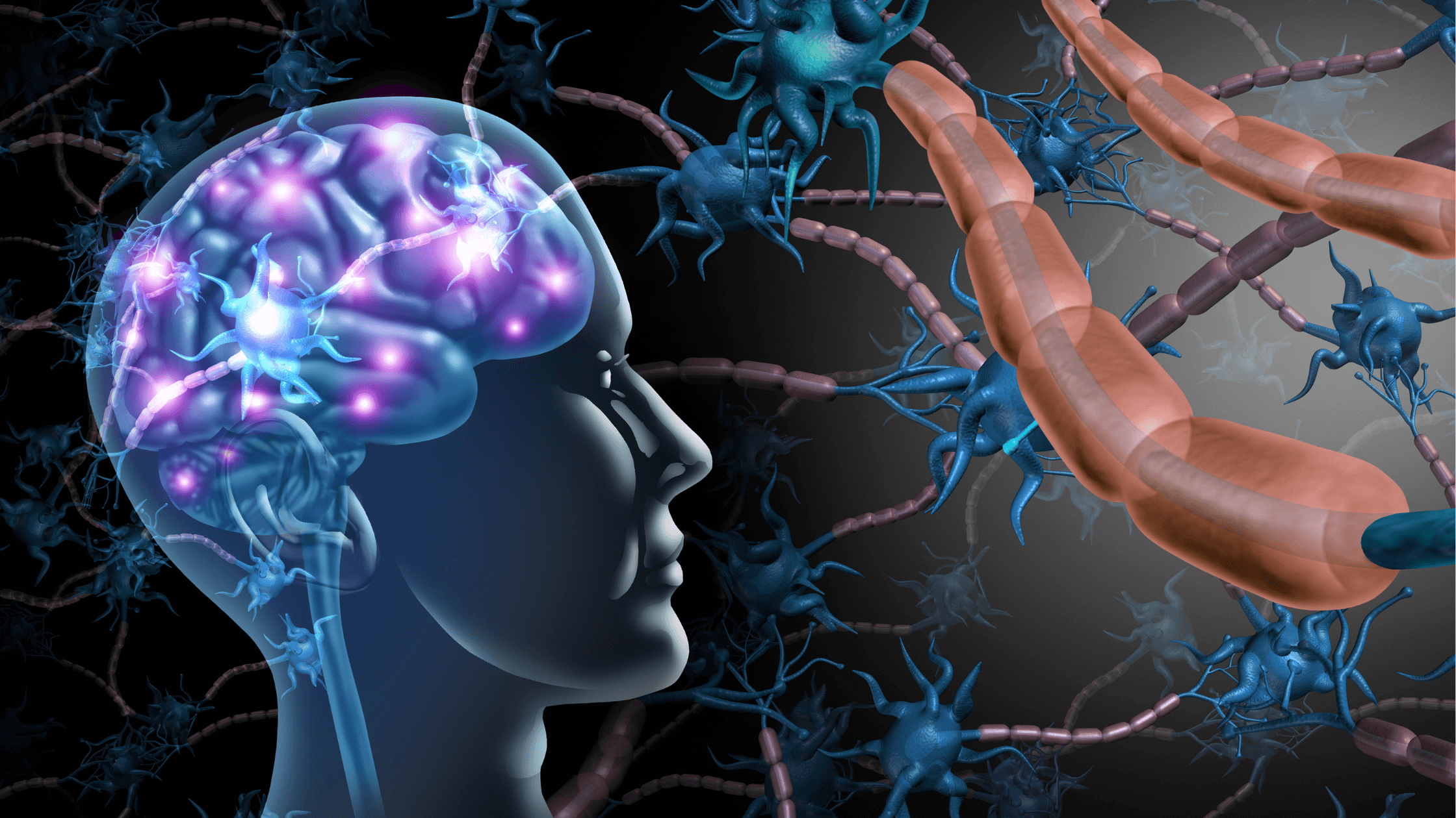 Illustration showing nerve cells in the brain