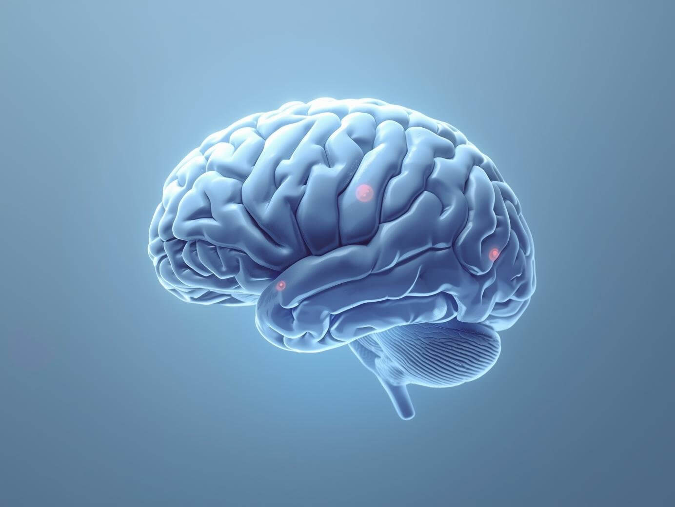 Simple brain illustration showing energy, hydration, and nutritional support.