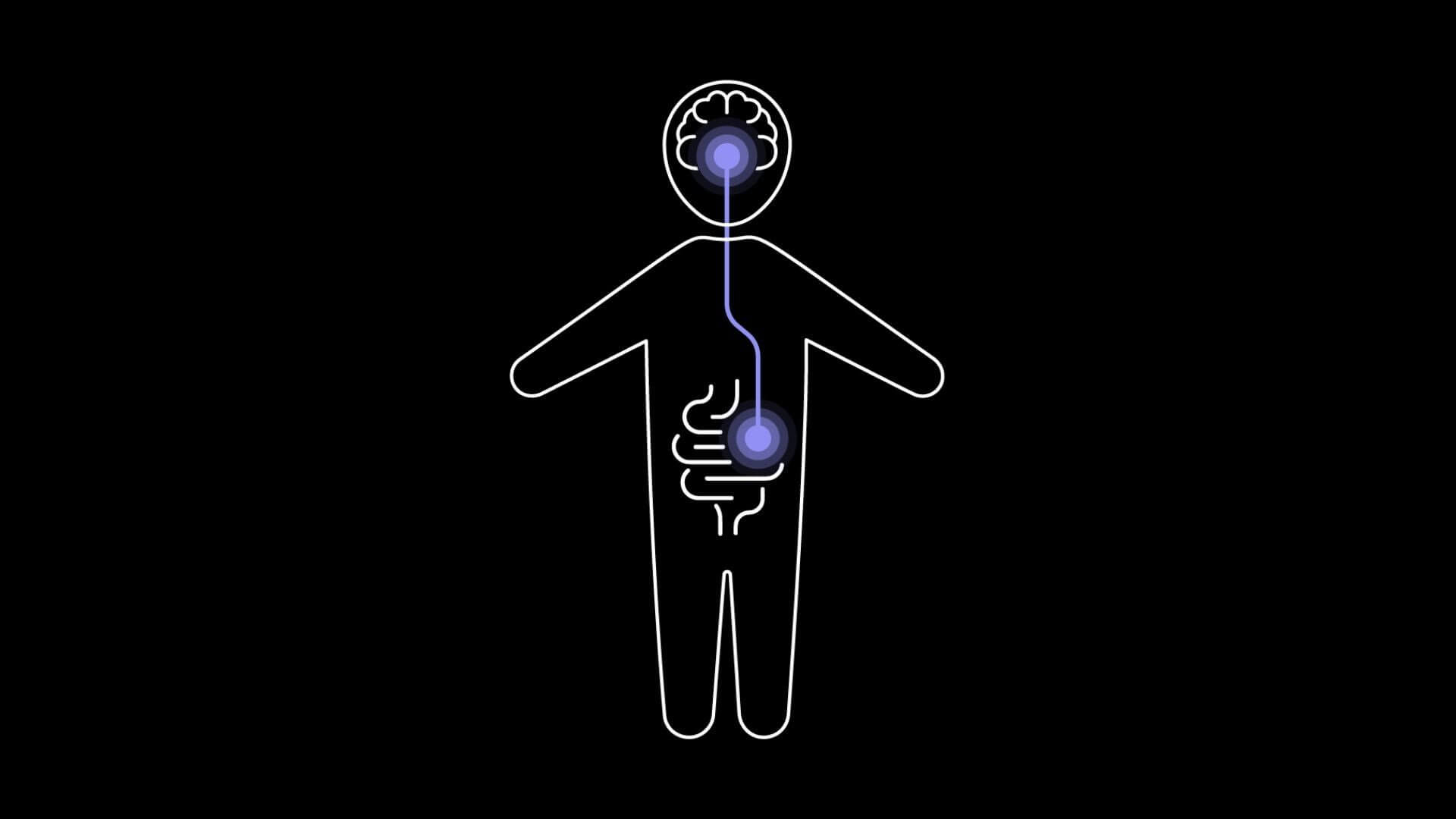 Understanding Bioactive and Human-Identical vs. Non-Bioactive and Non-Numan-Identical Substances
