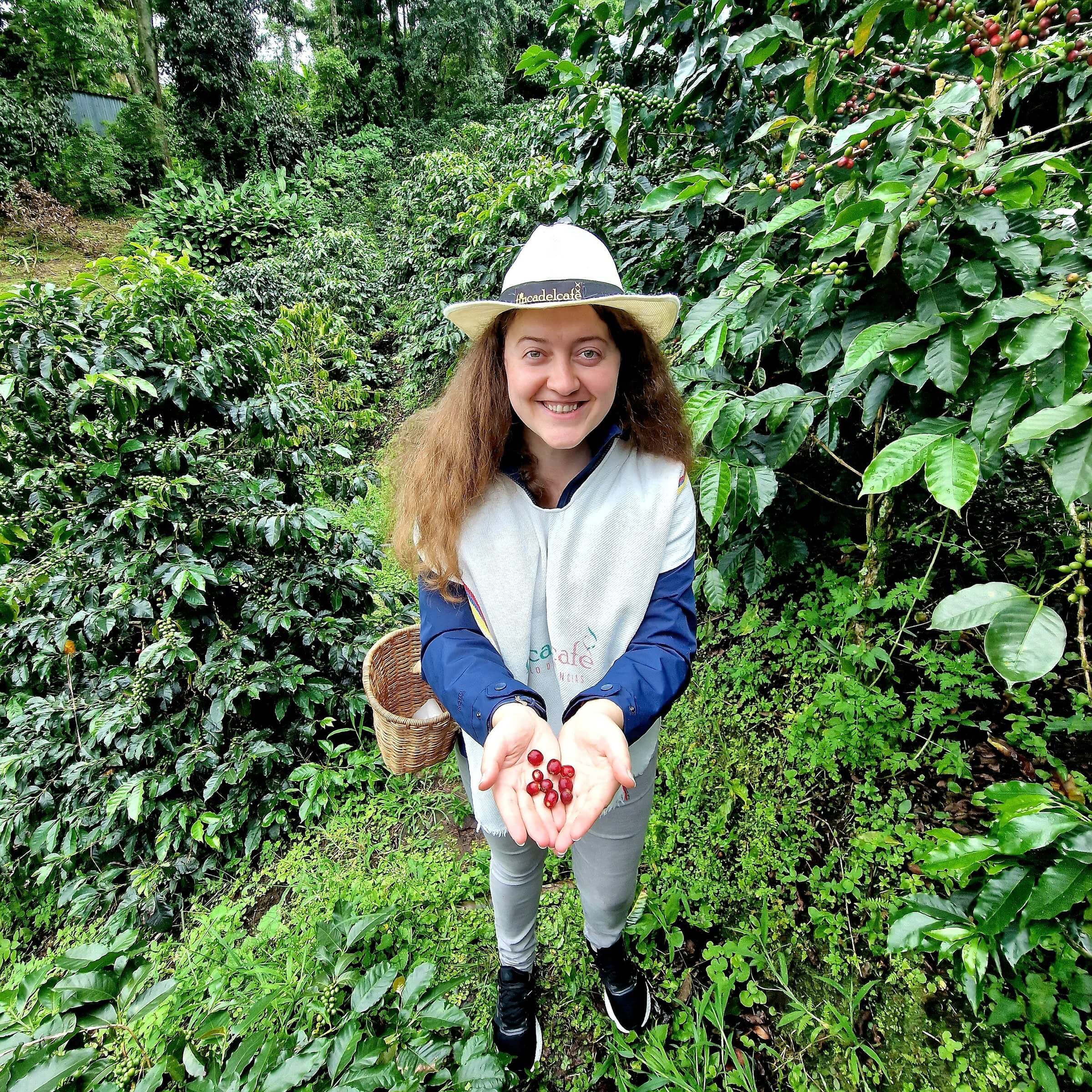 Mihaela coffee farm Colombia