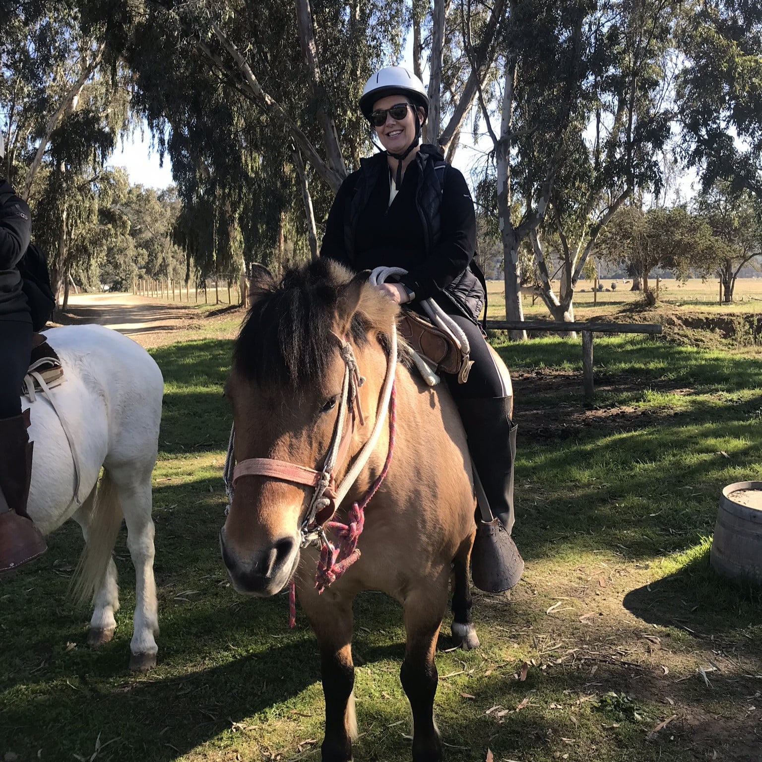 On horseback in Patagonia