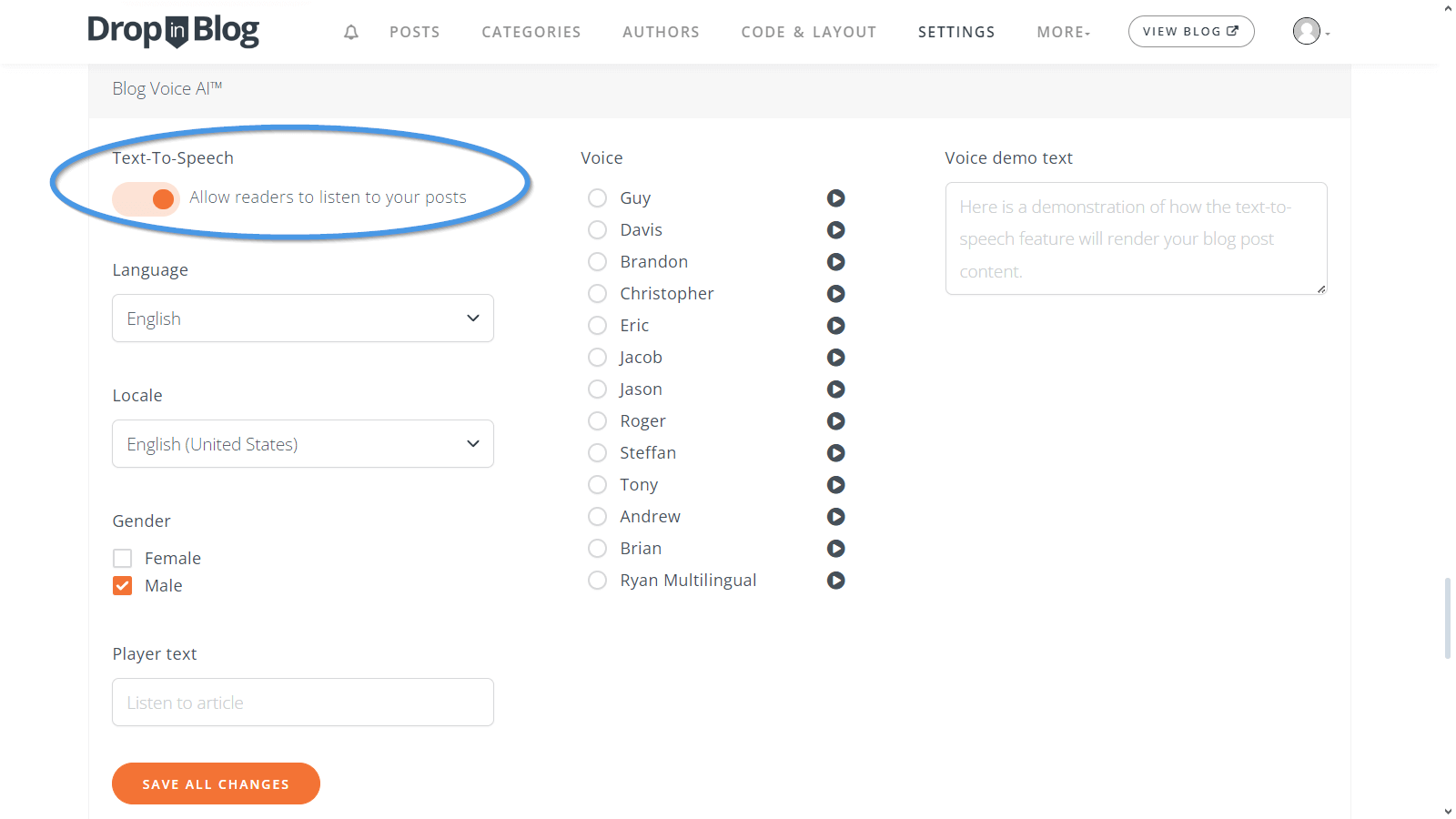 Blog Voice AI Settings