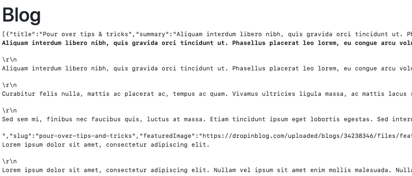 API output on example blog page
