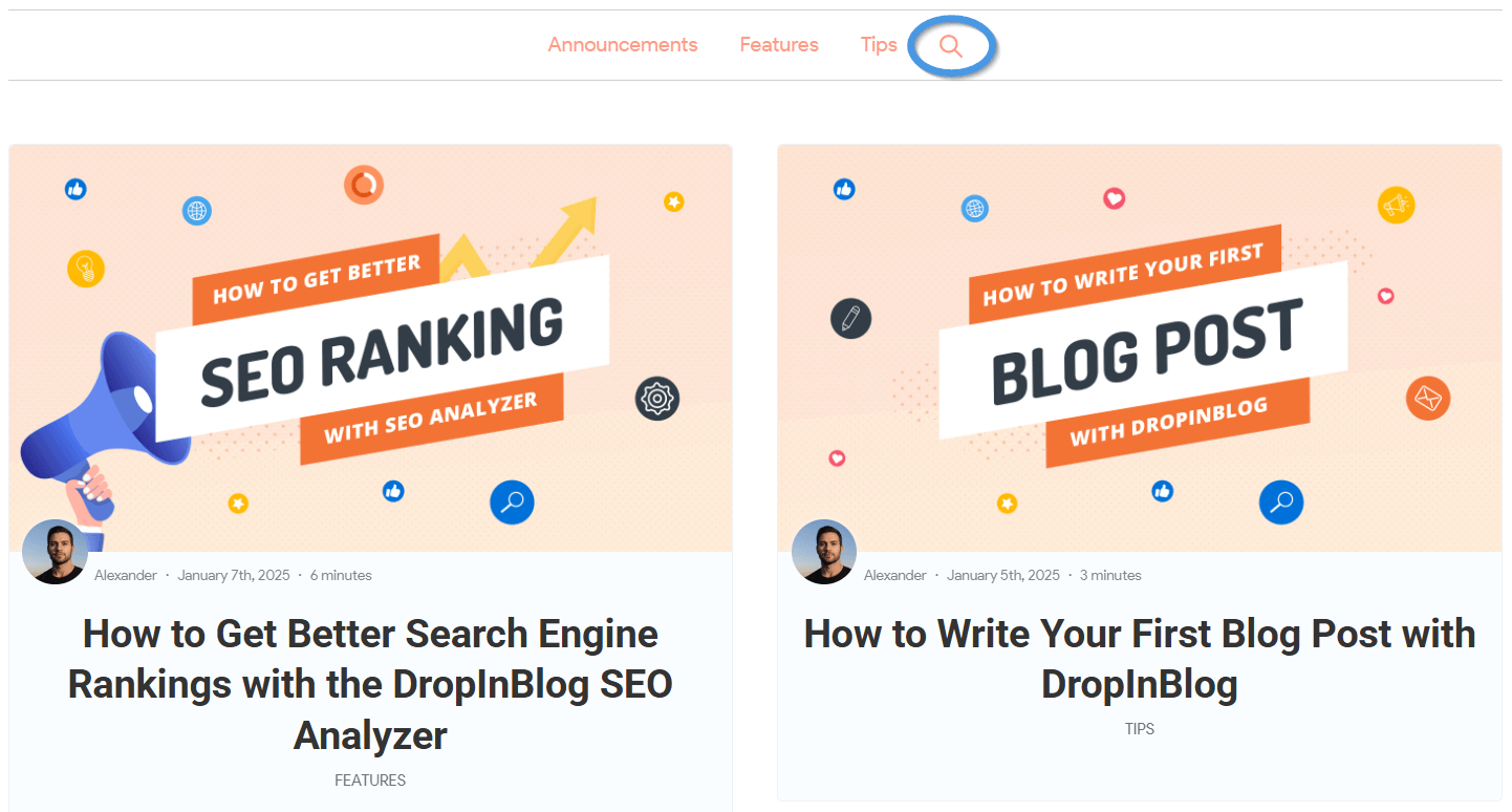 Blog search functionality in DropInBlog
