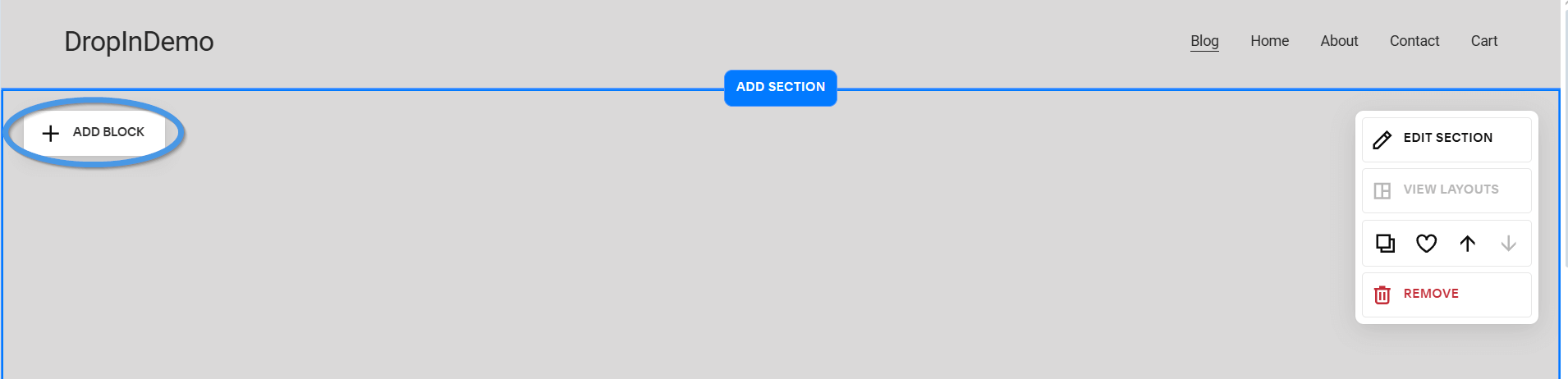 Squarespace blog install step